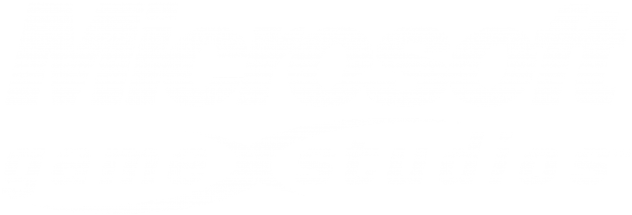 Microsoft Game Studios